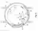 Fig. 04 - Timepiece including a control device for a striking mechanism fitted with a resilient transmission element