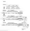 Fig. 07 - Information recording device and method