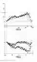 Fig. 04 - Thickness variation correction on a disc