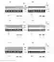 Fig. 14 - Method and system for fluid mediated disk activation and deactivation