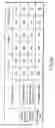 Fig. 22 - Information storage medium, reproducing method, and recording method