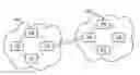 Fig. 01 - Diverse routing for switched connections