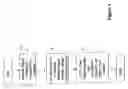 Fig. 04 - Co-channel congestion method and apparatus