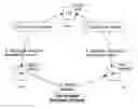 Fig. 01 - System and method to mediate delivery of legacy, non-IMS services into an IMS network