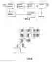 Fig. 02 - Hierarchical coding and decoding method
