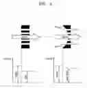 Fig. 04 - Target apparatus