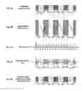 Fig. 07 - Method and device for driving a directional speaker