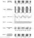 Fig. 10 - Method and device for driving a directional speaker