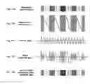 Fig. 12 - Method and device for driving a directional speaker