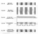 Fig. 17 - Method and device for driving a directional speaker