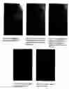 Fig. 10 - Phase based digital imaging