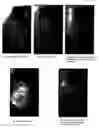 Fig. 13 - Phase based digital imaging