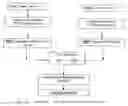 Fig. 19 - Phase based digital imaging