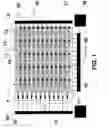 Fig. 02 - Light emitting source incorporating vertical cavity lasers and other MEMS devices within an electro-optical addressing architecture