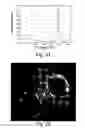 Fig. 17 - Photonic crystal fibres comprising stress elements