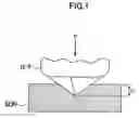 Fig. 02 - Polymeric optical waveguide film