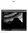 Fig. 05 - System and method for displaying image capture time