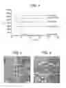 Fig. 04 - Process and apparatus to synthesize materials