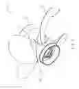 Fig. 02 - Boat propeller with adjustable blades for adjusting the pitch thereof