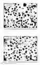 Fig. 03 - Cast iron alloy containing boron