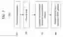 Fig. 04 - Acid-catalyzed dehydrogenation of amine-boranes