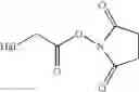 Fig. 11 - Conjugates of hydroxypyridinone derivative metal complexes with biomolecules and their use for MRI diagnosis