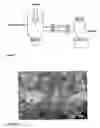 Fig. 02 - Methods for preparing pharmaceutical compositions