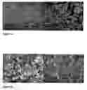 Fig. 07 - Methods for preparing pharmaceutical compositions