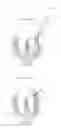 Fig. 03 - Periodontal regeneration composition and method of using same