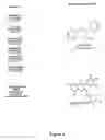 Fig. 07 - Treatment of eye disorders with sirtuin modulators