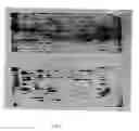 Fig. 05 - Use of lactobacillus salivarius