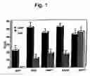 Fig. 02 - Cytotoxic factors for modulating cell death