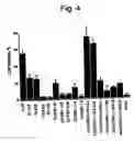 Fig. 05 - Cytotoxic factors for modulating cell death