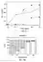 Fig. 15 - Methods and materials for modulation of the immunosuppressive activity and toxicity of monoclonal antibodies