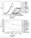 Fig. 19 - Methods and materials for modulation of the immunosuppressive activity and toxicity of monoclonal antibodies