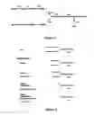 Fig. 02 - Factor VIII inhibitory antibodies with reduced glycosylation