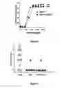 Fig. 04 - Factor VIII inhibitory antibodies with reduced glycosylation