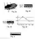 Fig. 03 - Polypeptides, polynucleotides encoding same, antibodies thereagainst and methods of using same for diagnosing and treating cancer and skeletal disorders