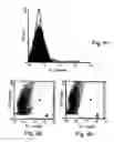 Fig. 06 - Polypeptides, polynucleotides encoding same, antibodies thereagainst and methods of using same for diagnosing and treating cancer and skeletal disorders