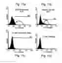Fig. 08 - Polypeptides, polynucleotides encoding same, antibodies thereagainst and methods of using same for diagnosing and treating cancer and skeletal disorders