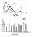Fig. 09 - Polypeptides, polynucleotides encoding same, antibodies thereagainst and methods of using same for diagnosing and treating cancer and skeletal disorders