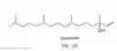 Fig. 03 - Phytol derived immunoadjuvants and their use in vaccine formulations