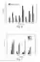 Fig. 07 - Phytol derived immunoadjuvants and their use in vaccine formulations