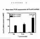 Fig. 07 - Method for preventing rejection of transplanted tissue