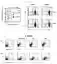 Fig. 10 - Method for preventing rejection of transplanted tissue