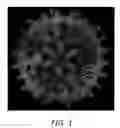 Fig. 02 - Self-assembling nanoparticle drug delivery system