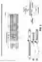 Fig. 07 - Chimeric alphavirus replicon particles