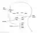Fig. 02 - Ophthalmic solution with a flavoring agent