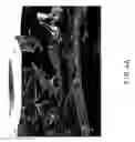 Fig. 08 - Chitosan based dressing