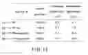Fig. 20 - Chitosan based dressing